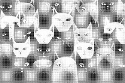 Mal-med-prikker -  Katte, uanset hvor man kigger