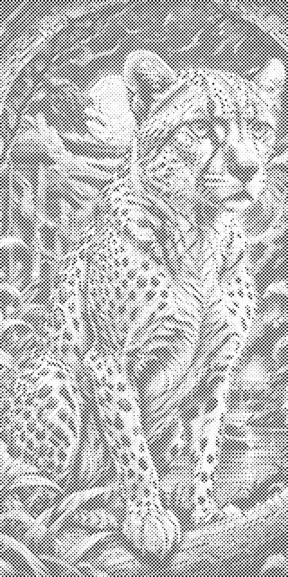 Mal-med-prikker -  Majestæt leopard