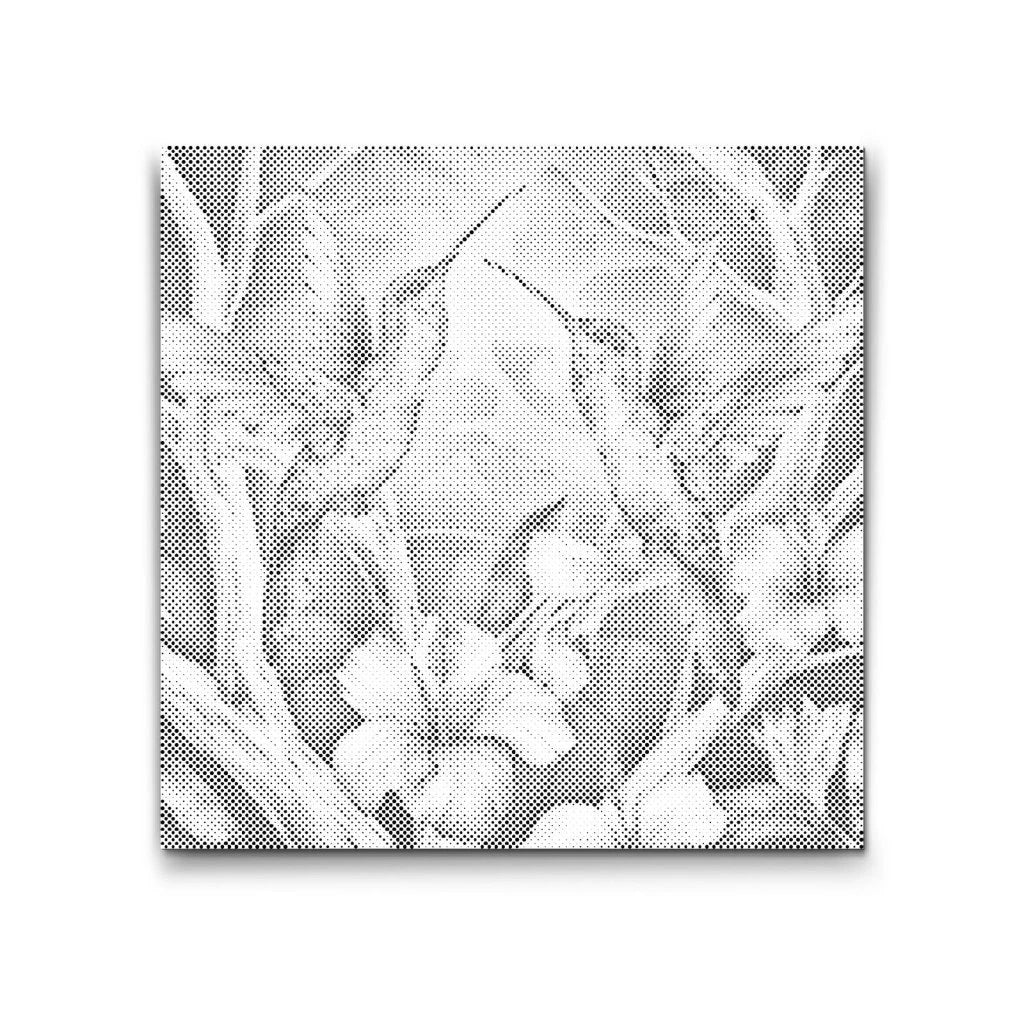 Kolibrier blandt Blomster