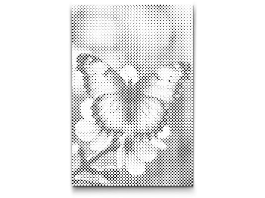 Sommerfugl på Forårsgren