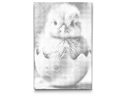 Påskekylling i Æggeskal