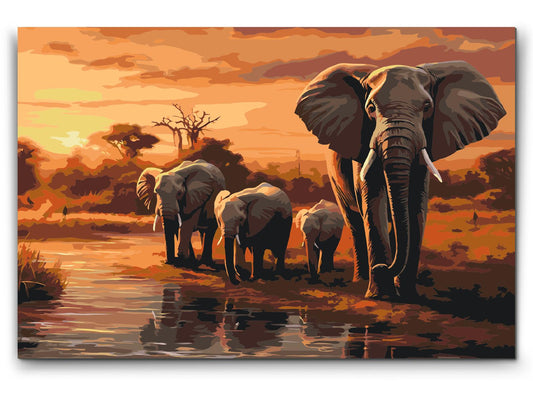 Paint by Numbers - Savanne – Rejser med elefanter