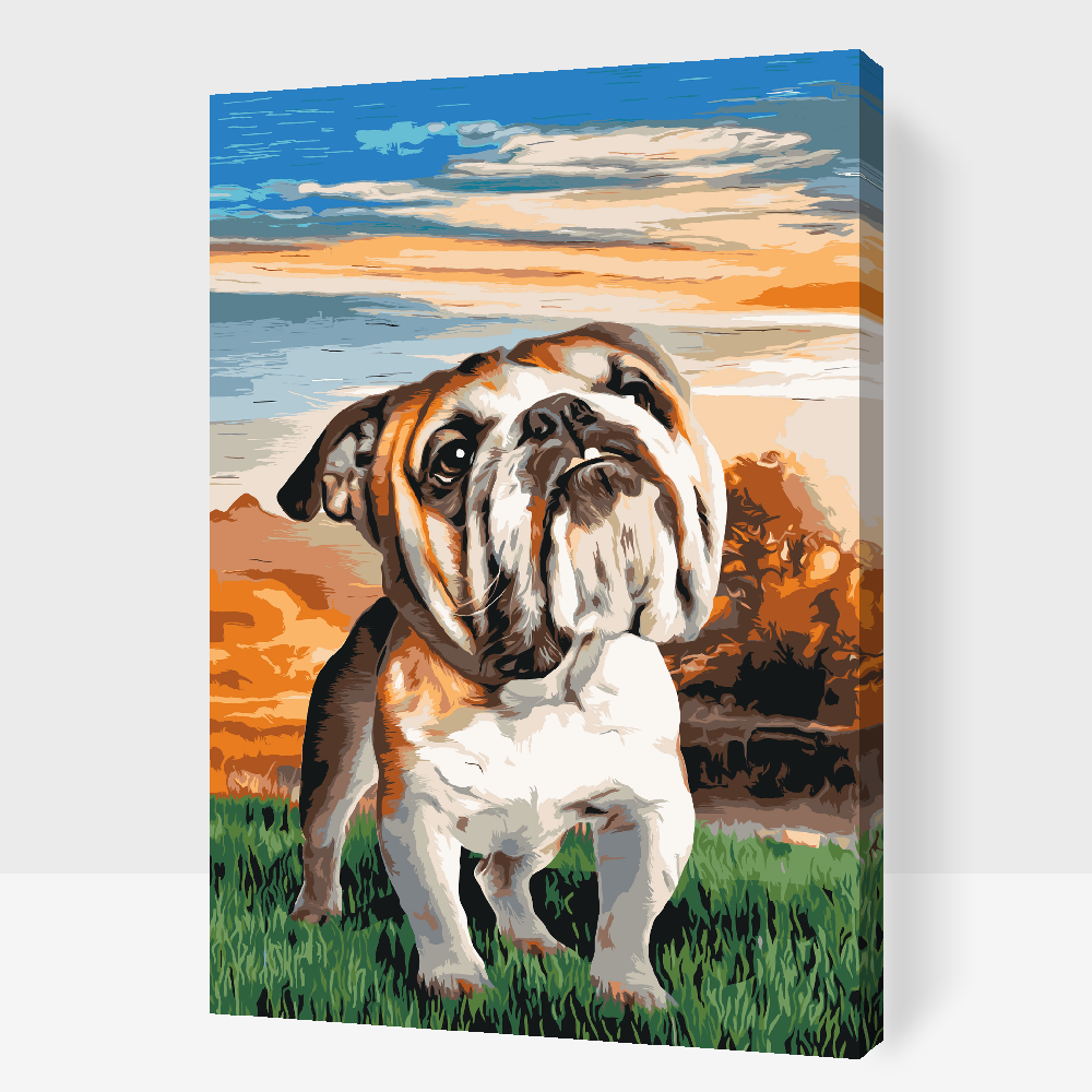 Paint by Numbers - Engelsk bulldog i haven