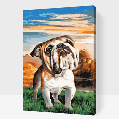 Paint by Numbers - Engelsk bulldog i haven