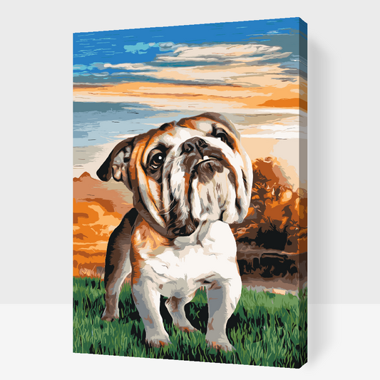 Paint by Numbers - Engelsk bulldog i haven