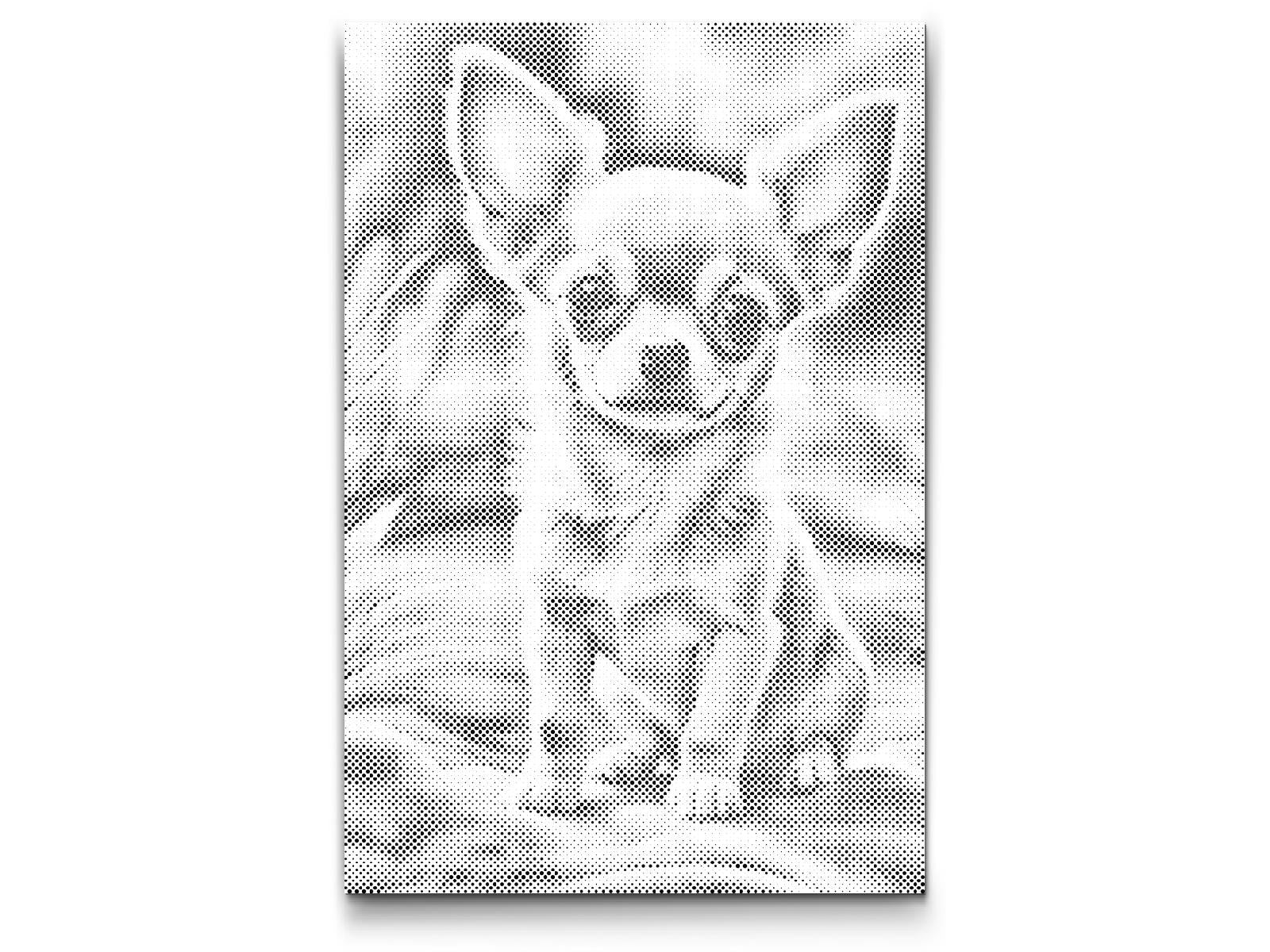 Mal-med-prikker -  Chihuahua