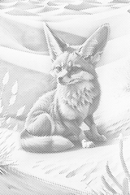 Mal-med-prikker -  Fennekræv