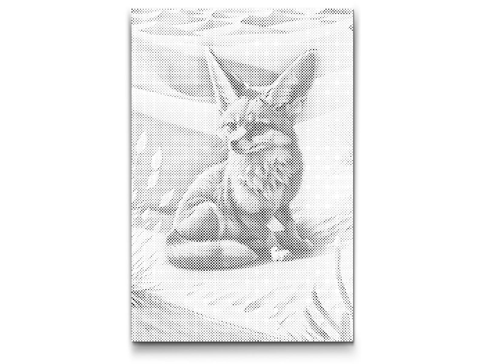 Mal-med-prikker -  Fennekræv