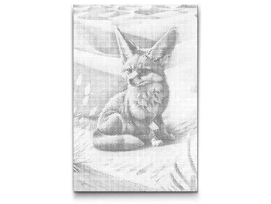 Mal-med-prikker -  Fennekræv