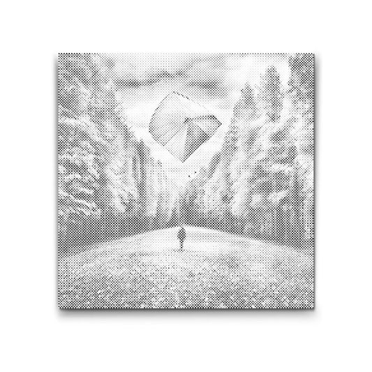 Flyver med Drage i Skoven