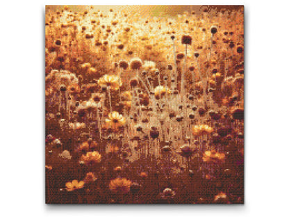 Diamond Painting - Et gyldent felt af minder