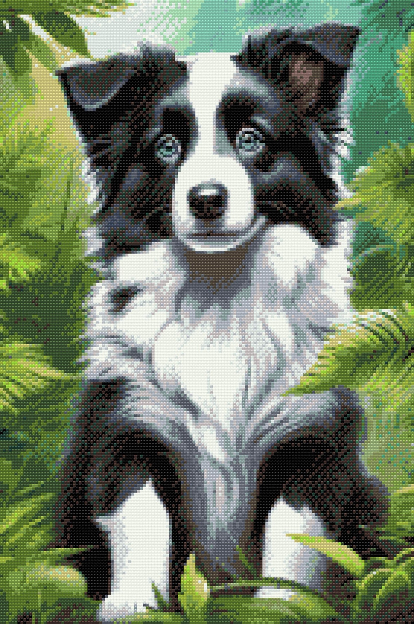 Diamond Painting - Border Collie-hvalp