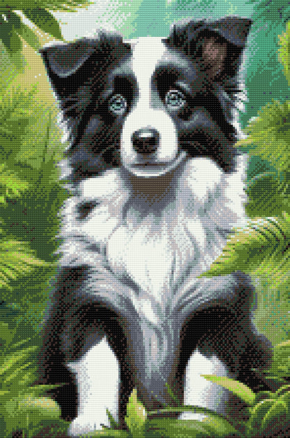 Diamond Painting - Border Collie-hvalp