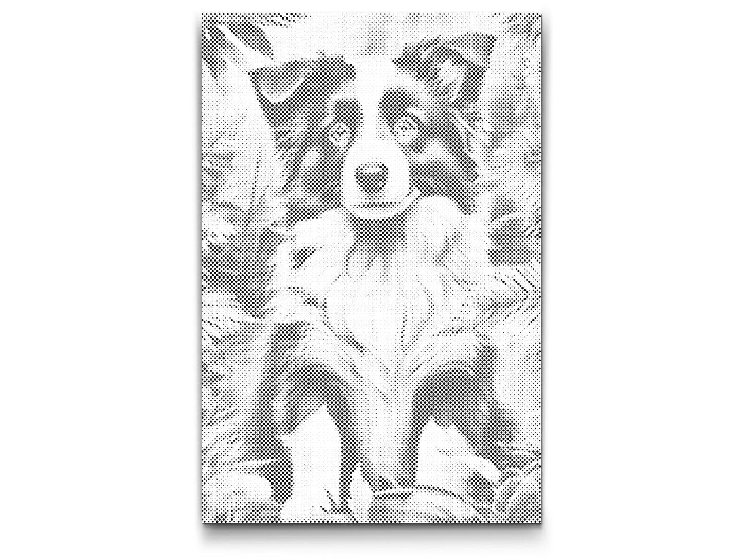 Mal-med-prikker -  Border Collie-hvalp