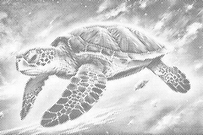 Mal-med-prikker -  Regnbueskildpadde