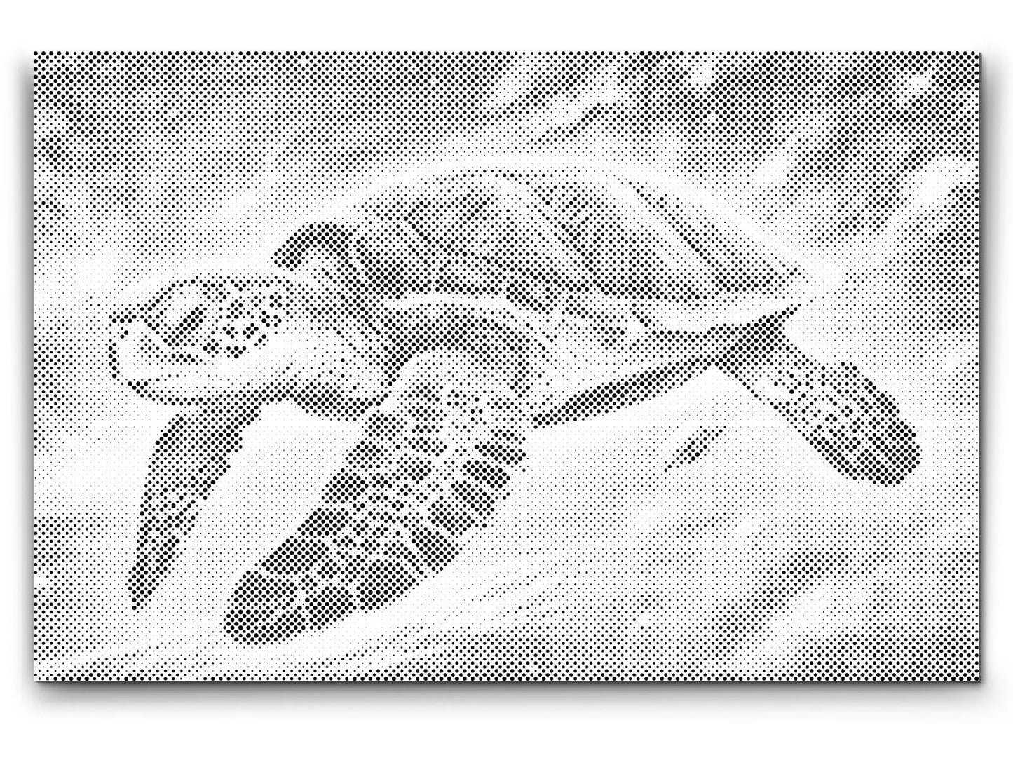 Mal-med-prikker -  Regnbueskildpadde