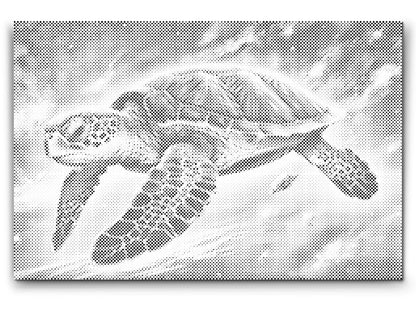 Mal-med-prikker -  Regnbueskildpadde