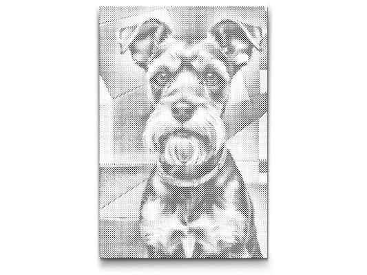 Mal-med-prikker -  Schnauzer