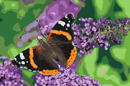 Paint by Numbers - Sommerfugl på en lilla blomst