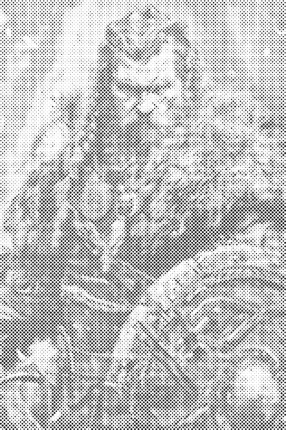 Mal-med-prikker -  Viking – nordisk kriger