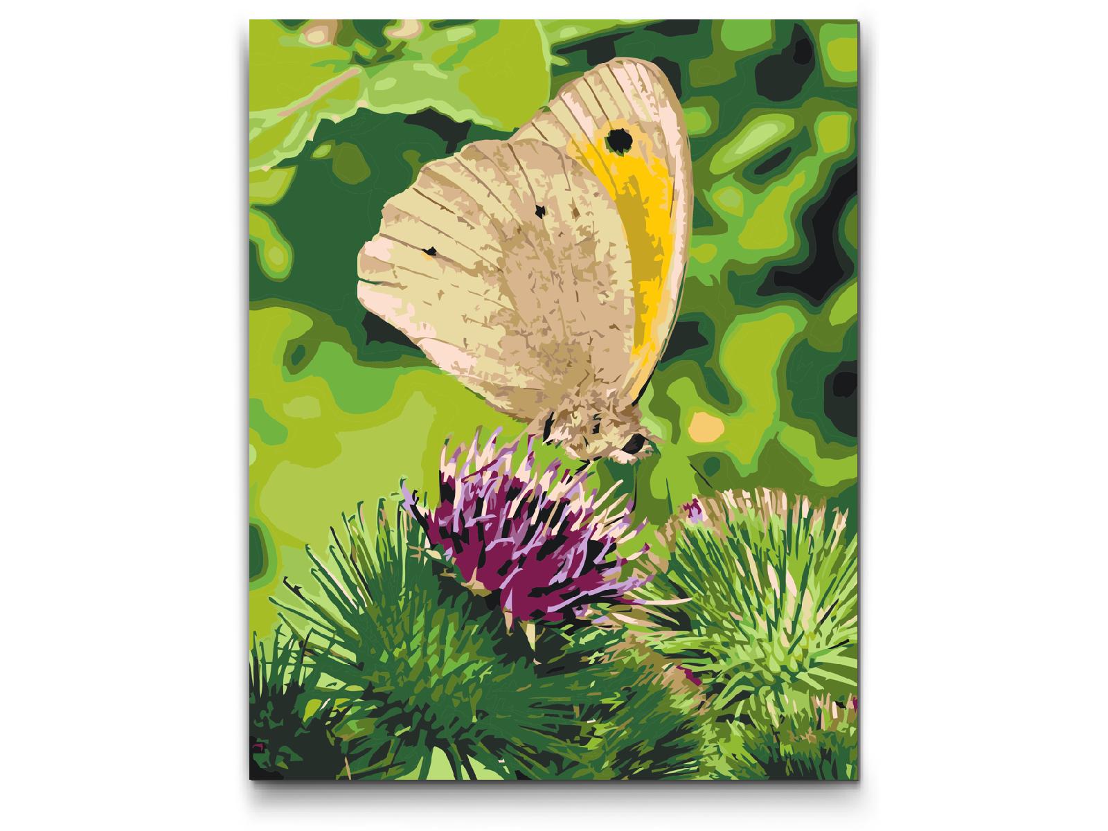 Paint by Numbers - Sommerfugl, der sidder på en blomst