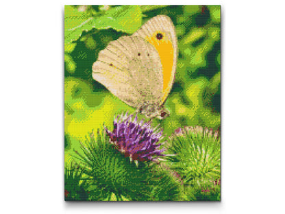 Diamond Painting - Sommerfugl, der sidder på en blomst