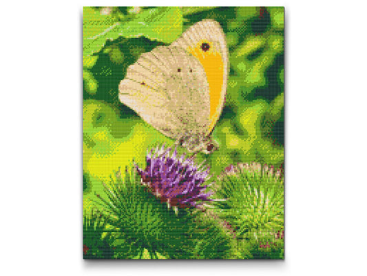 Diamond Painting - Sommerfugl, der sidder på en blomst