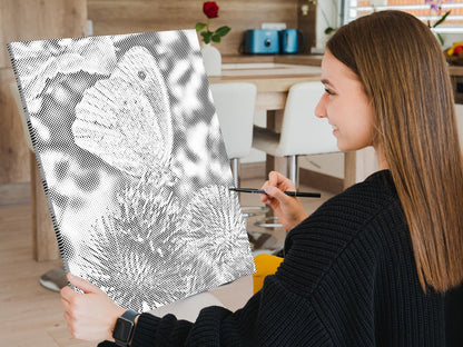 Mal-med-prikker -  Sommerfugl, der sidder på en blomst