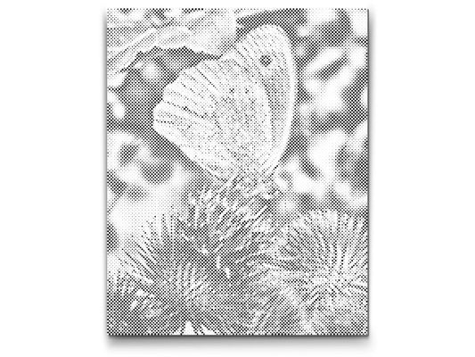 Sommerfugl på en Blomst