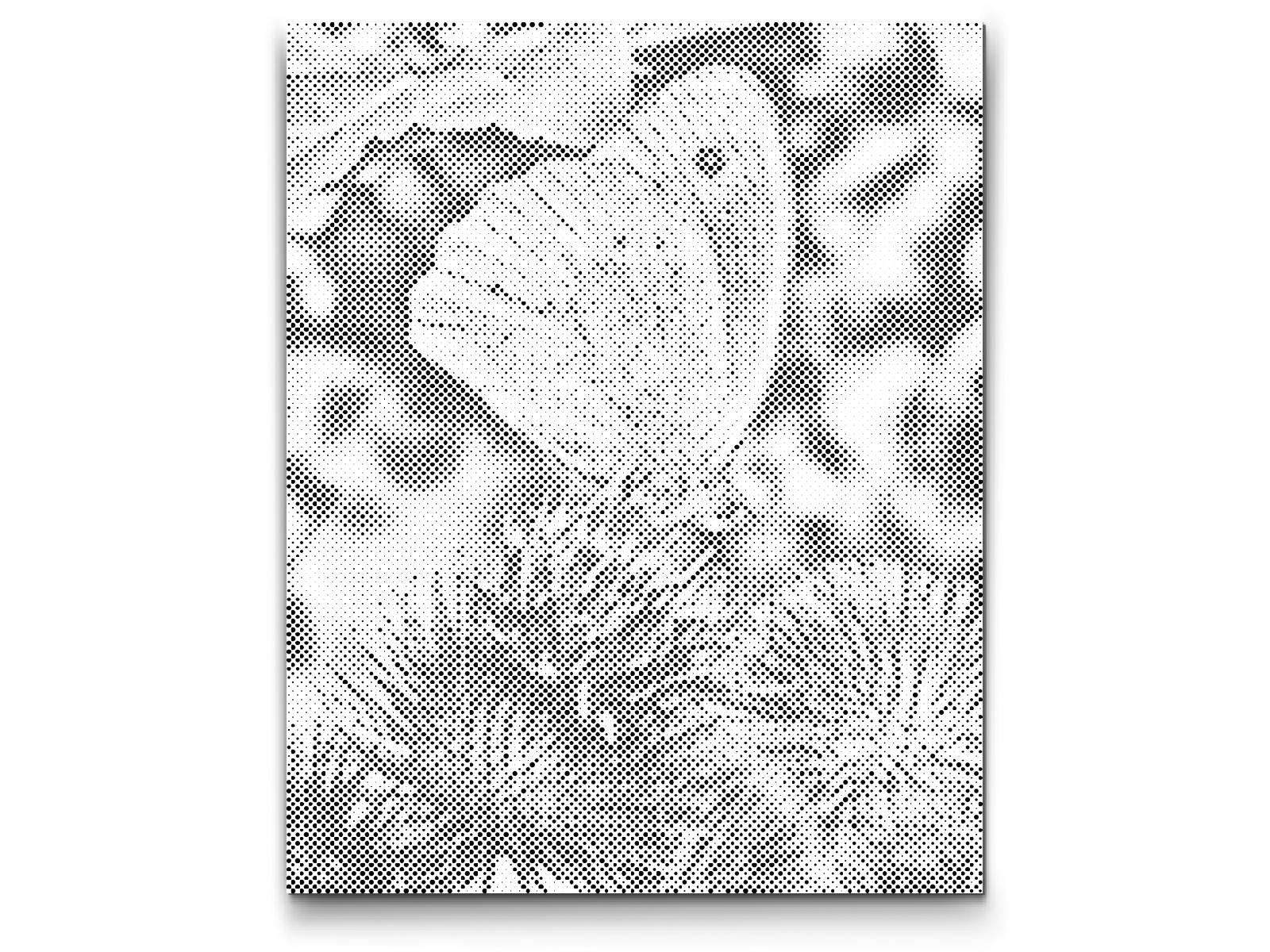  Sommerfugl på en Blomst