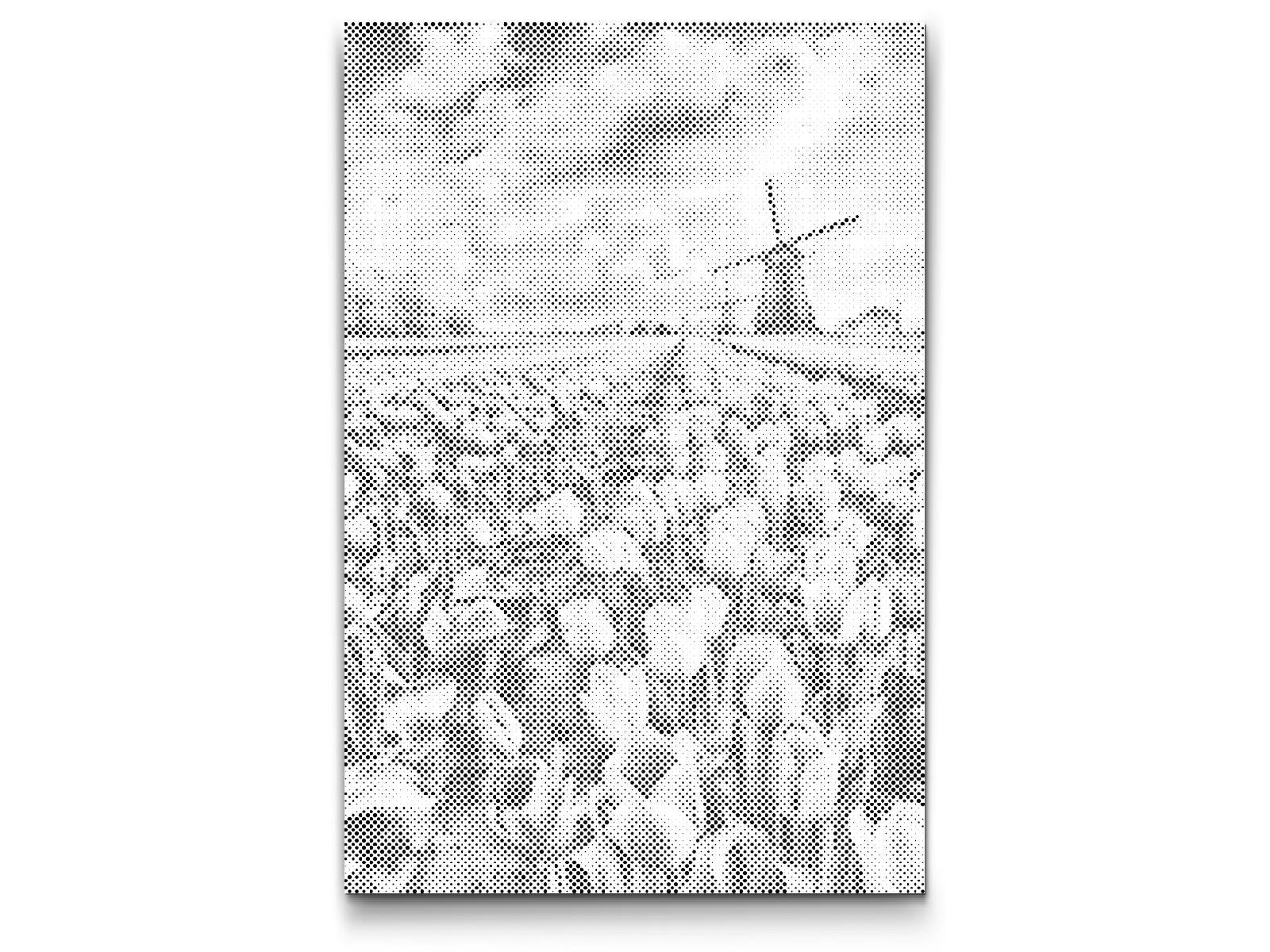  Vindmøller i en Tulipanmark