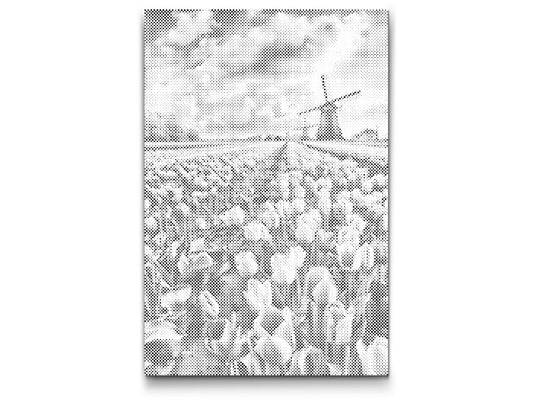  Vindmøller i en Tulipanmark