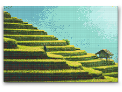 Diamond Painting - Risterrasser