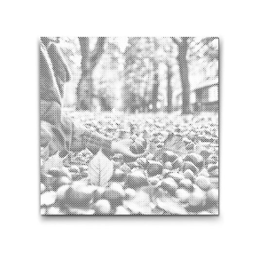 Kastanjer på Nært Hold