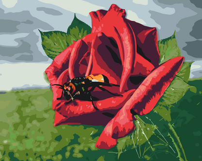 Paint by Numbers - Bien på rosen
