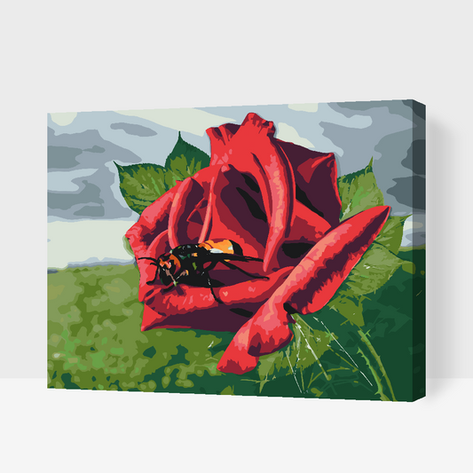 Paint by Numbers - Bien på rosen