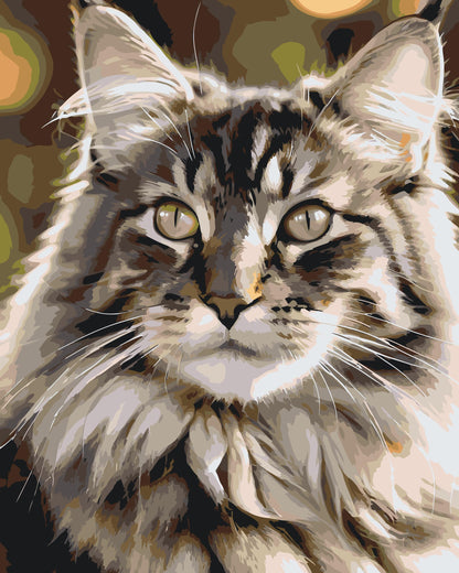 Paint by Numbers - Maine Coon-kat