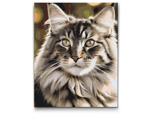 Paint by Numbers - Maine Coon-kat