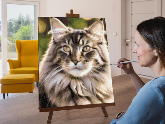Diamond Painting - Maine Coon-kat