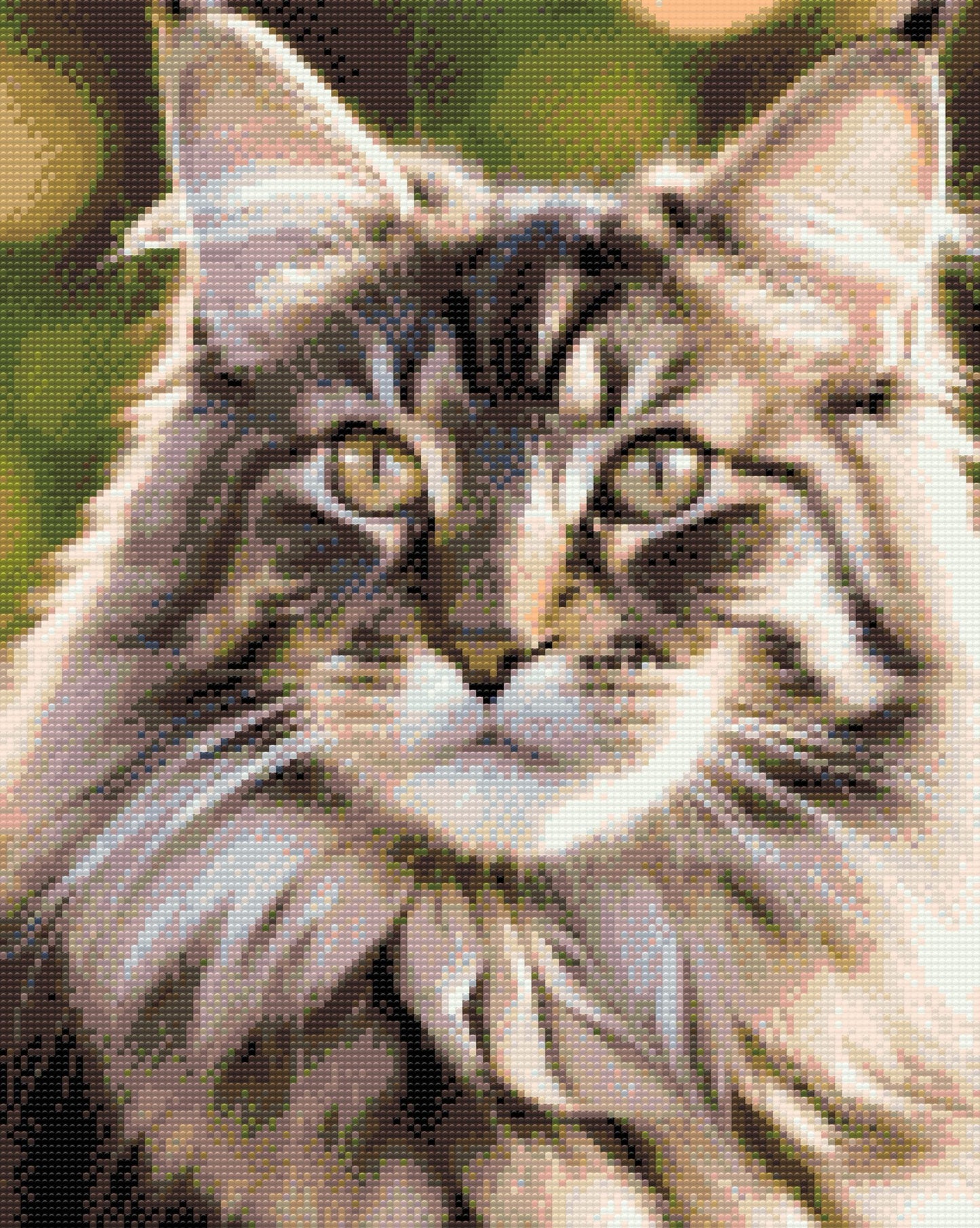 Diamond Painting - Maine Coon-kat