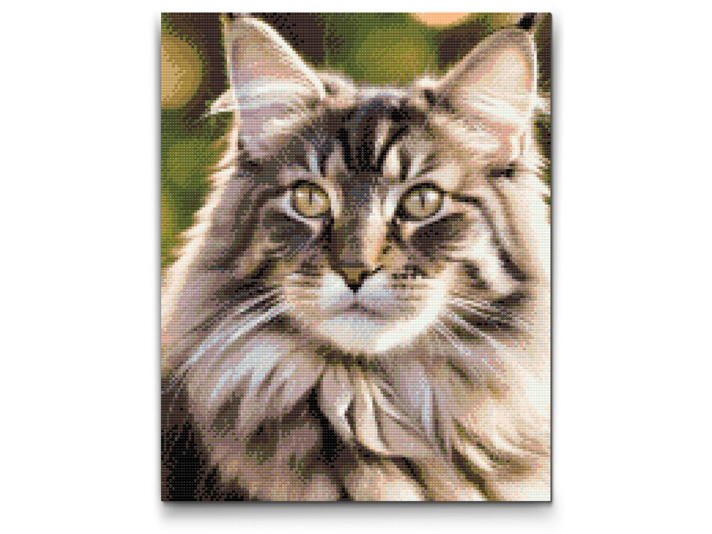 Diamond Painting - Maine Coon-kat