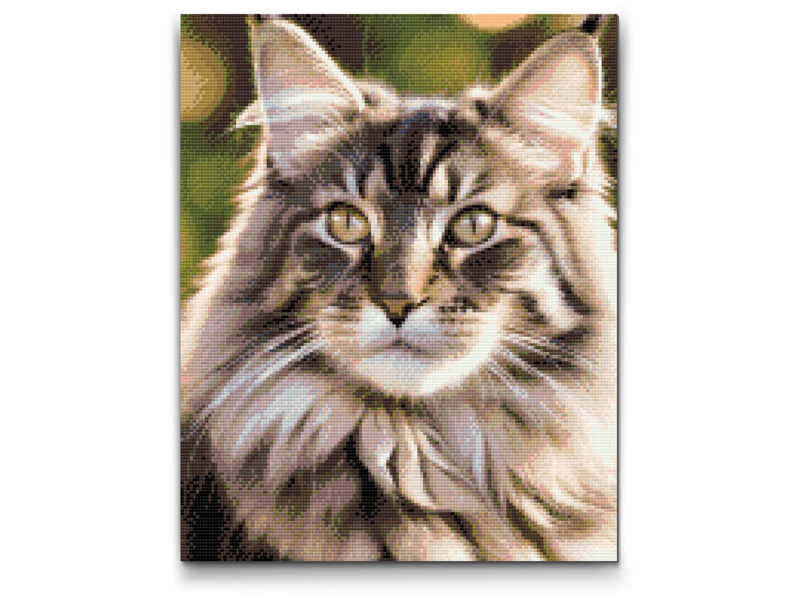 Diamond Painting - Maine Coon-kat