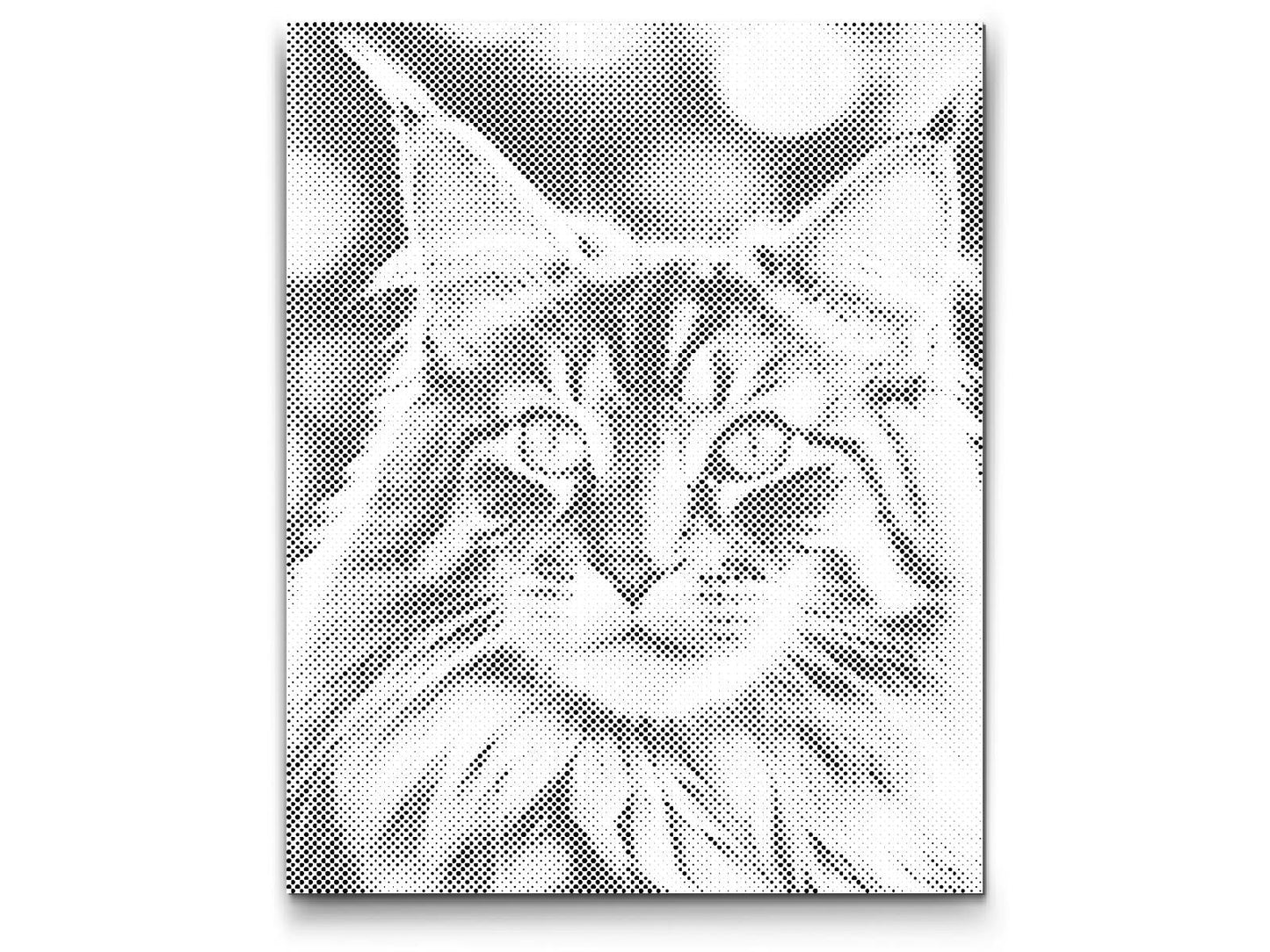 Mal-med-prikker -  Maine Coon-kat