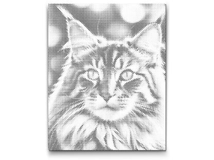 Mal-med-prikker -  Maine Coon-kat