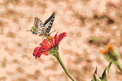 Paint by Numbers - Sommerfugl på en rød blomst 2