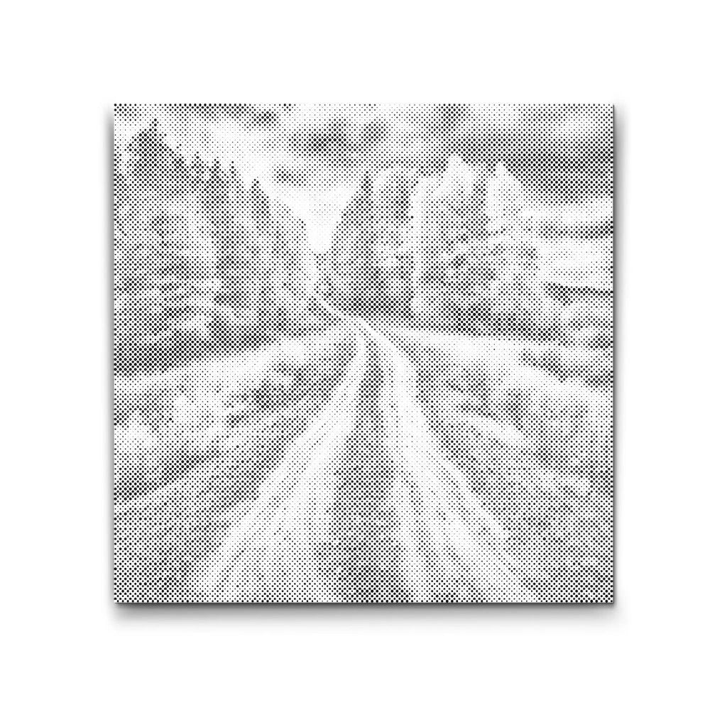 Markvej om Efteråret