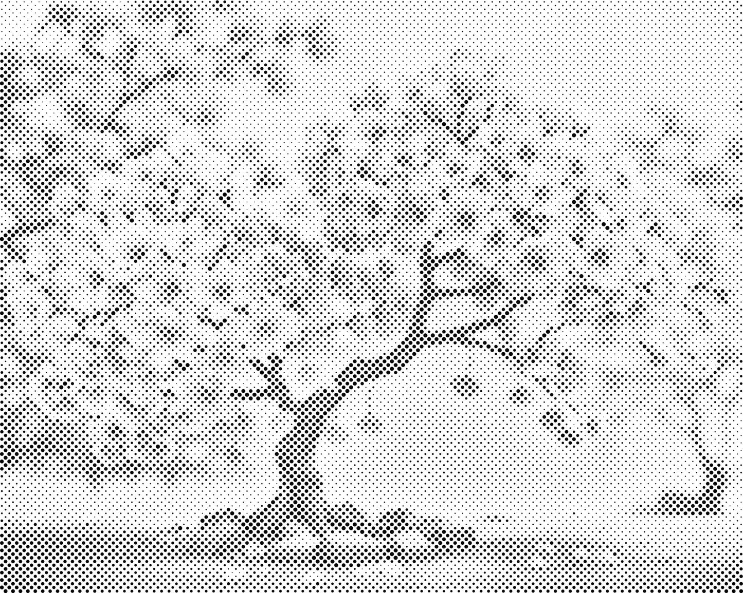 Mal-med-prikker -  Blomstrende sakura-bonsai