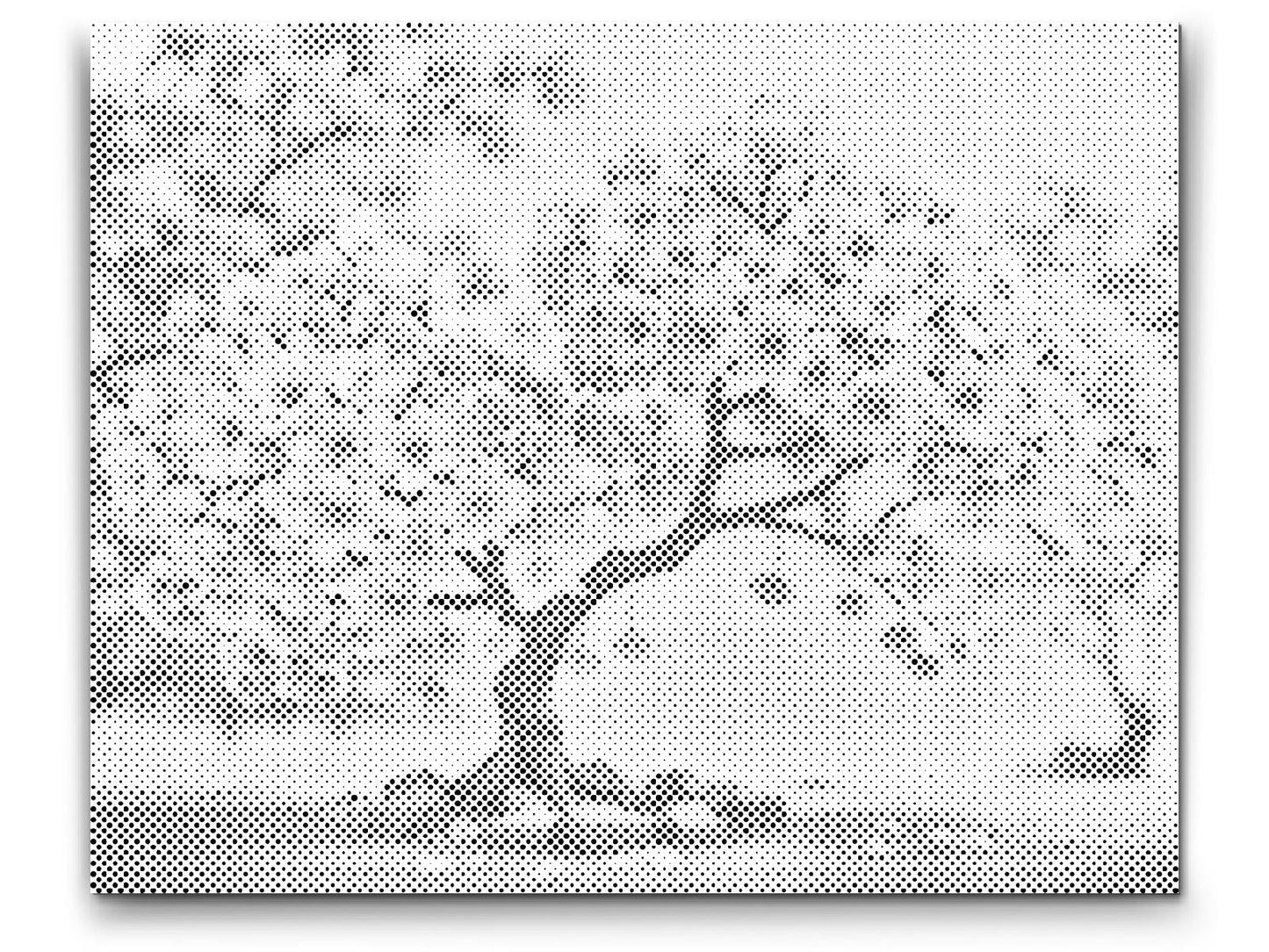Mal-med-prikker -  Blomstrende sakura-bonsai