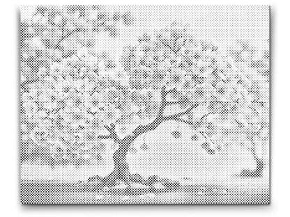 Mal-med-prikker -  Blomstrende sakura-bonsai