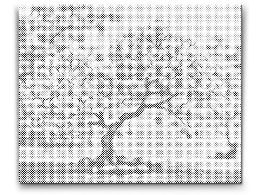 Mal-med-prikker -  Blomstrende sakura-bonsai
